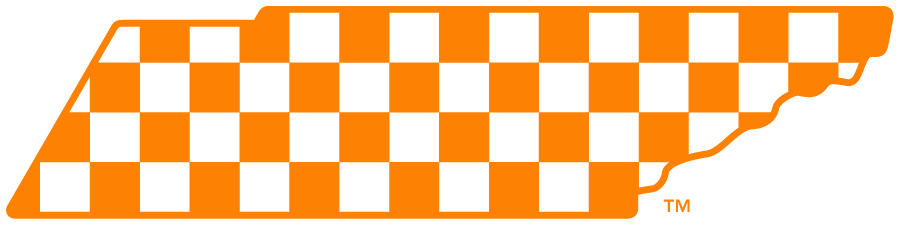 Tennessee Volunteers 2015-Pres Secondary Logo diy iron on heat transfer